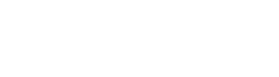 Bolt.new